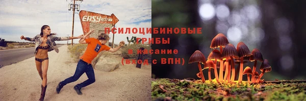 прущая мука Карталы
