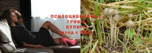 MDMA Premium VHQ Карпинск